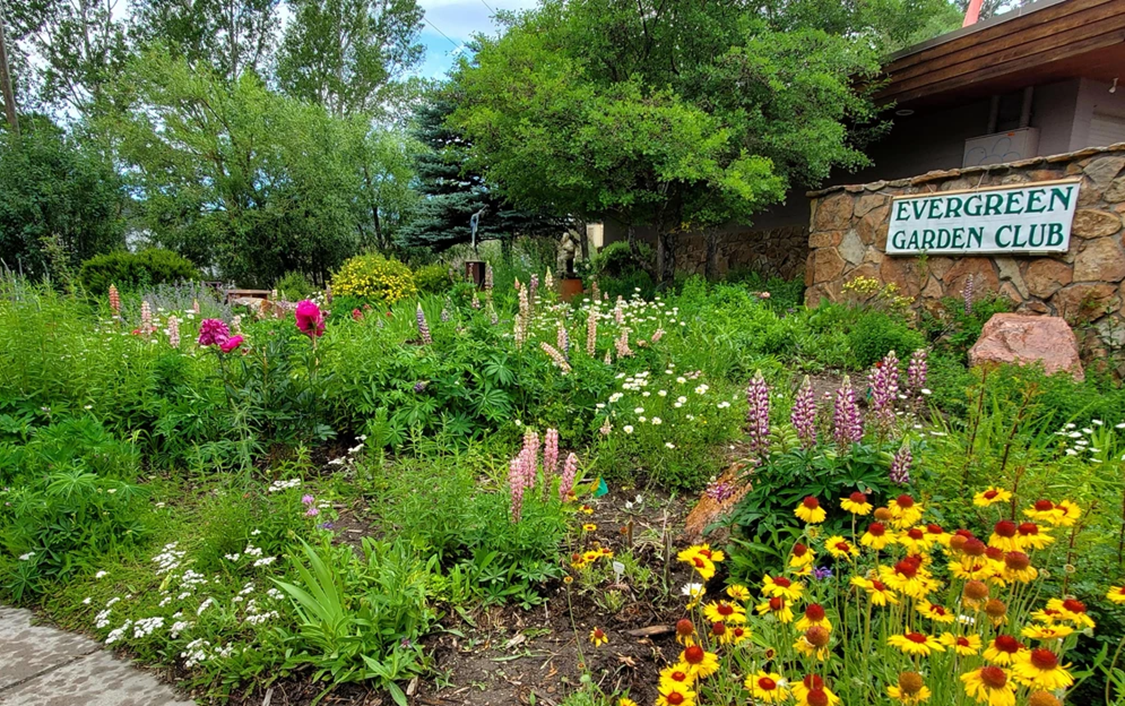 Picture in front of the EMD water department building with lots of native plants.