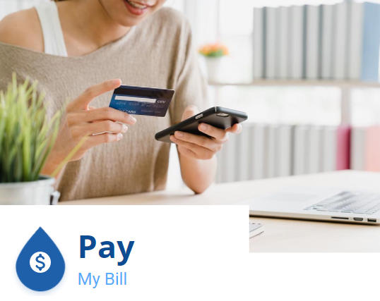 Picture of Paying Bills Online